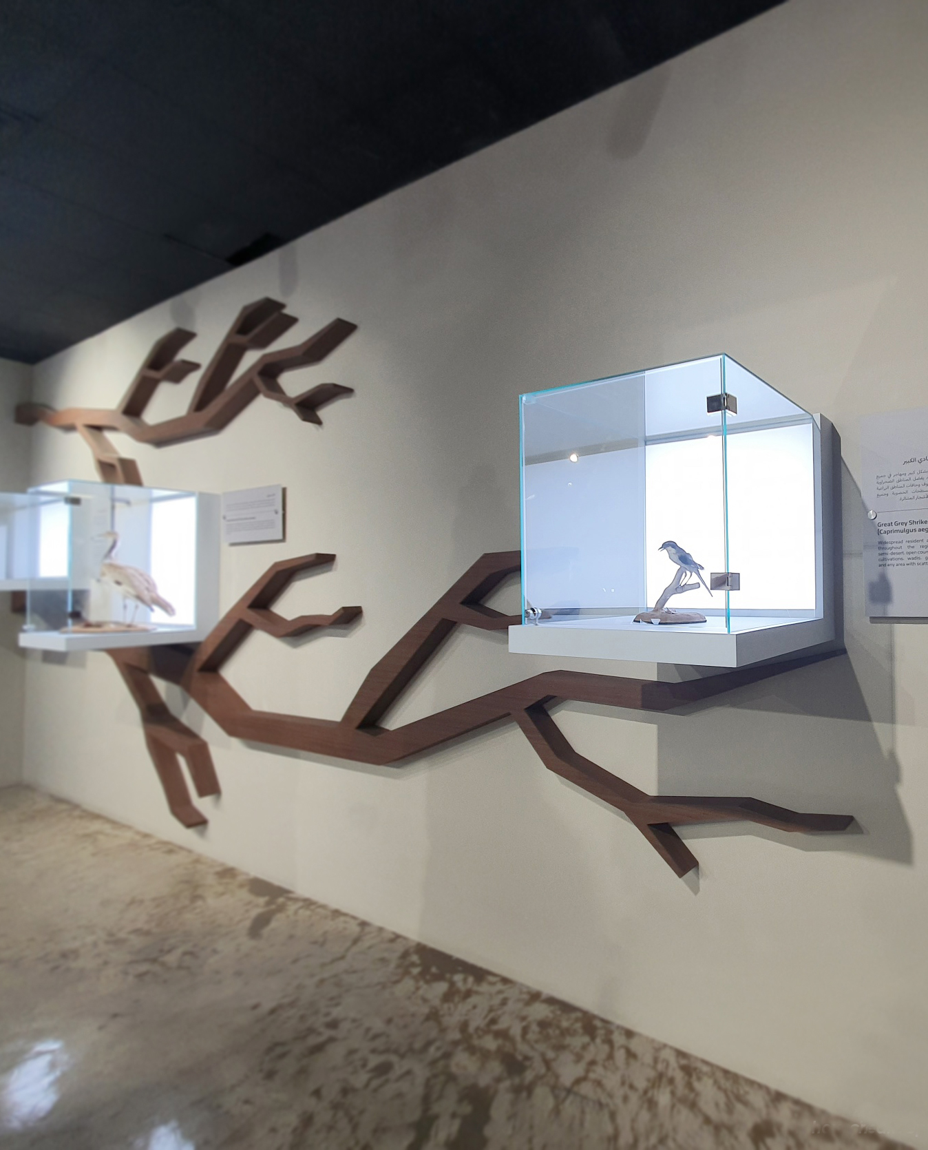 EPAA AL DHAID MUSEUM – Al Dhaid, Sharjah by HOX Interiors